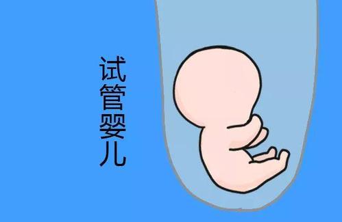 陈教授